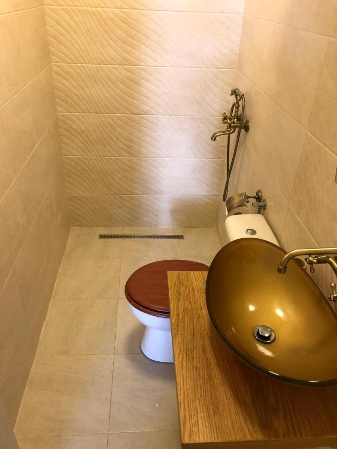Apartmán Studio Gh. Lazar Sibiu Exteriér fotografie